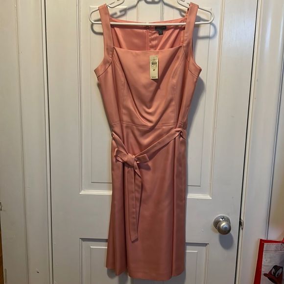 NWT Ann Taylor Pink 100% Silk Spring Dress Women's Size 8P - Picture 1 of 7